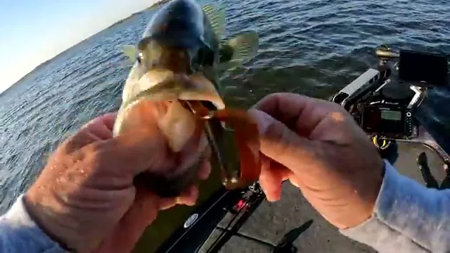 Big Bass Splash: cómo es y dónde jugar