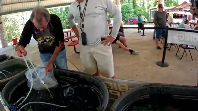 Big Bass Splash: cómo es y dónde jugar