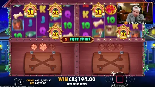The Dog House: cómo es y dónde jugar