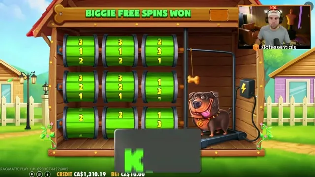 The Dog House: cómo es y dónde jugar